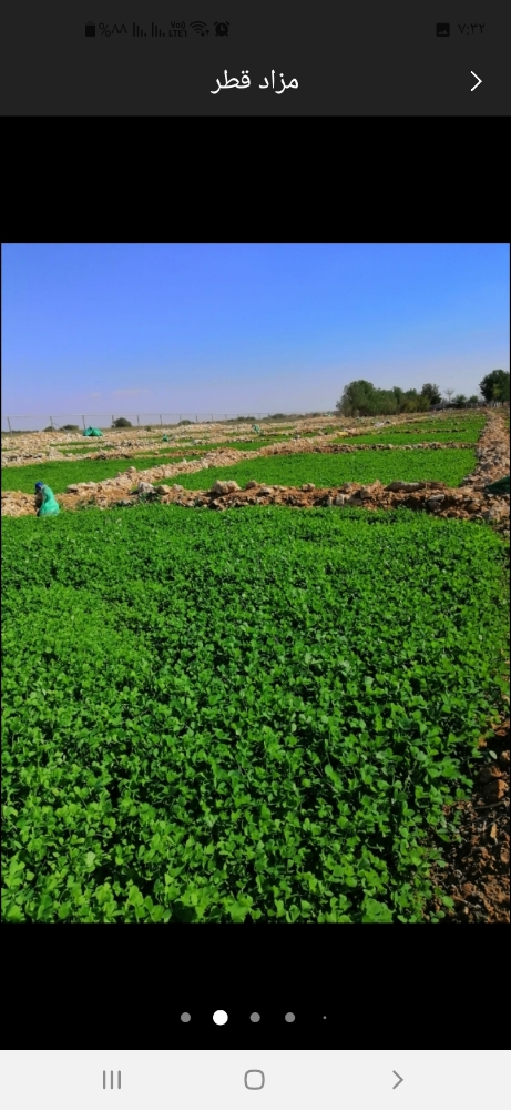 شاب مصري حاصل علي دبلوم زراعي - 4