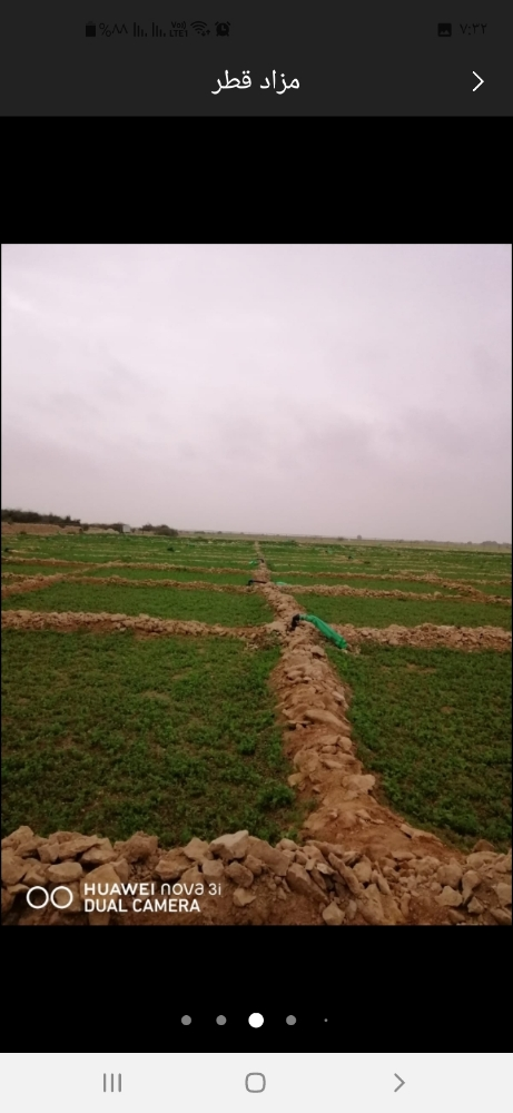شاب مصري حاصل علي دبلوم زراعي - 5