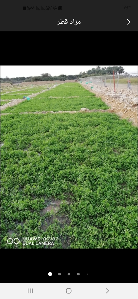 شاب مصري حاصل علي دبلوم زراعي - 3