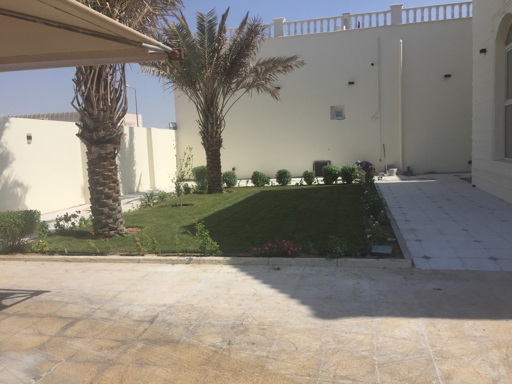 ديكور وعشب صناعي - 3