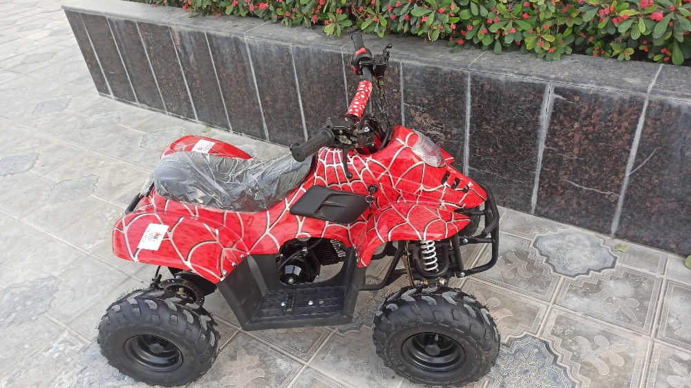 patrol 110cc - 2
