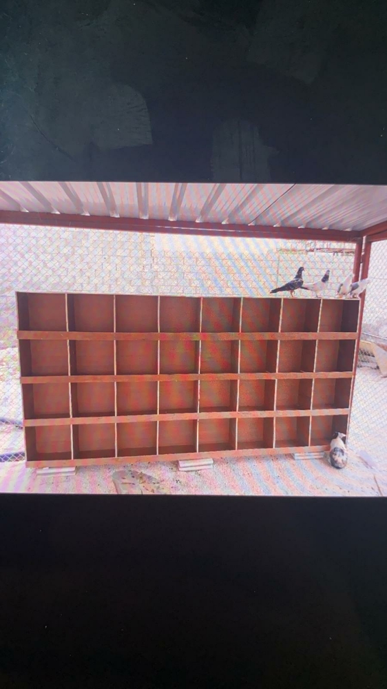 chicken house - 3