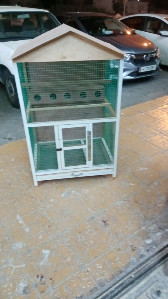chicken house - 9