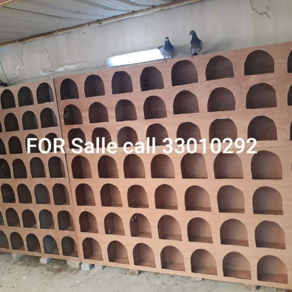 chicken house - 4