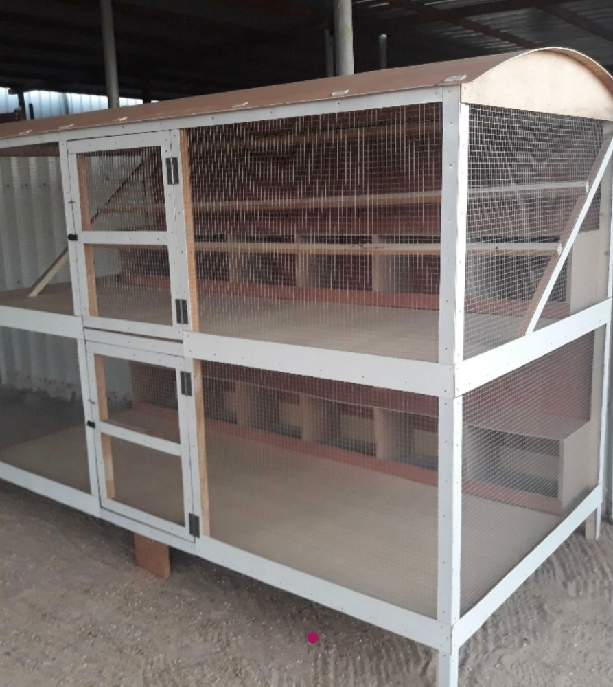 chicken house - 6