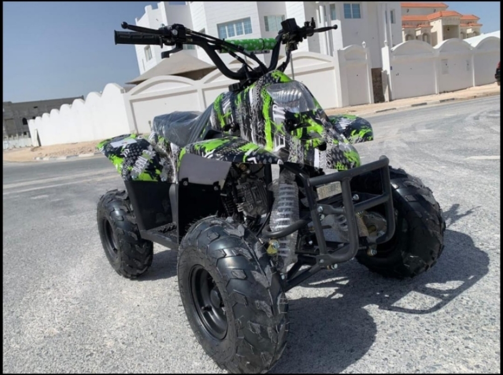 budbuda  patrol 110cc - 3