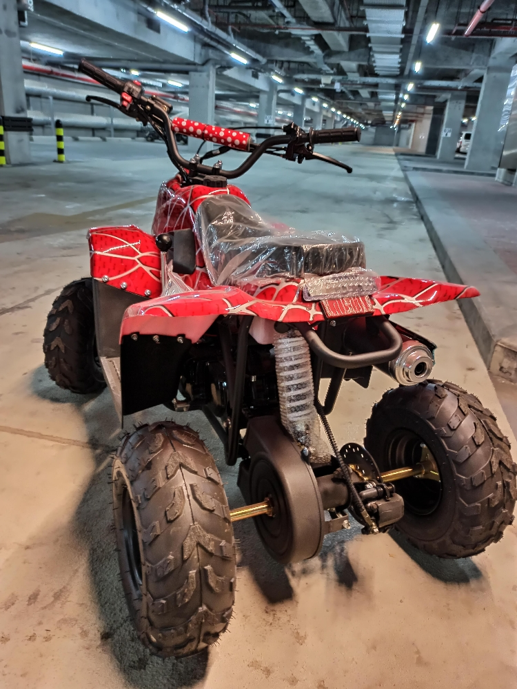 budbuda  patrol 110cc - 3