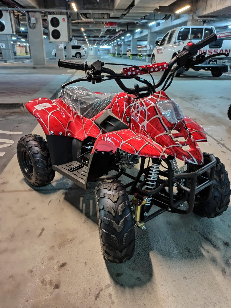 budbuda  patrol 110cc - 2