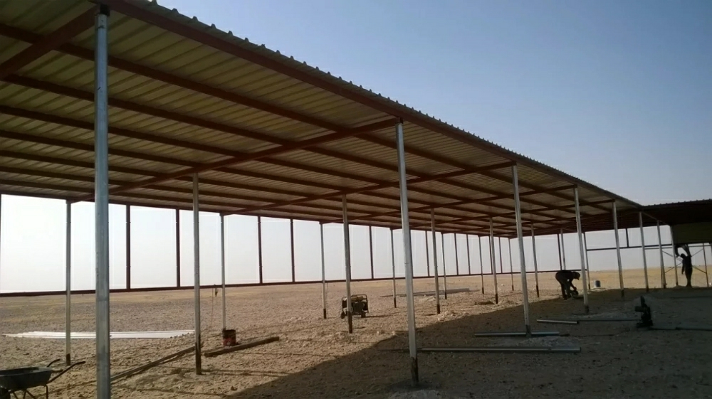 Topola - 3