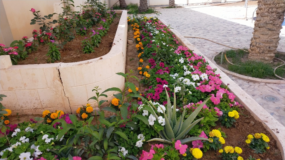 زراعه الحدائق - 1