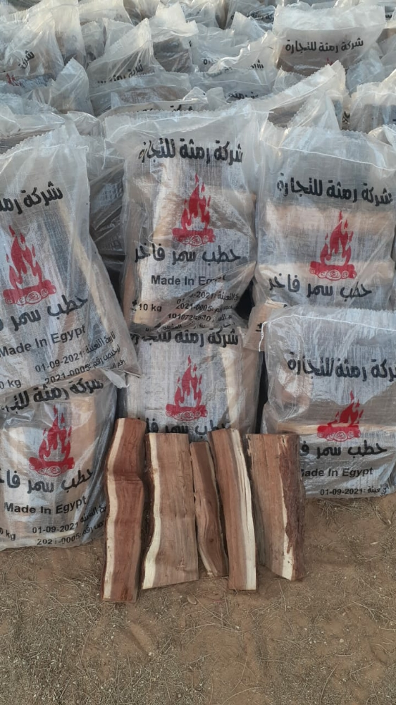 حطب زيتون اصلي جبلي - 2