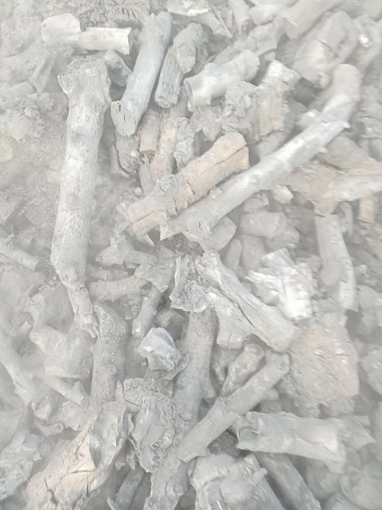 حطب زيتون اصلي جبلي - 4