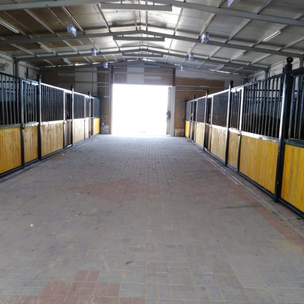اسطبل خيل وبديكات - 1