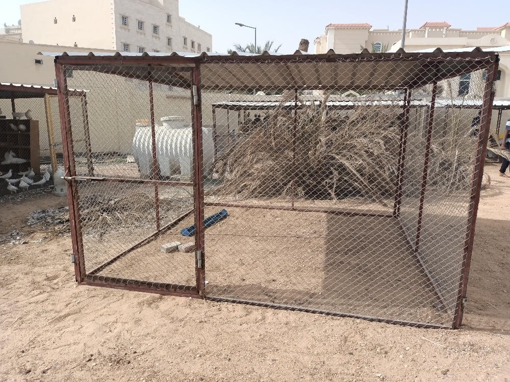 Pigeon and chicken coop - 8