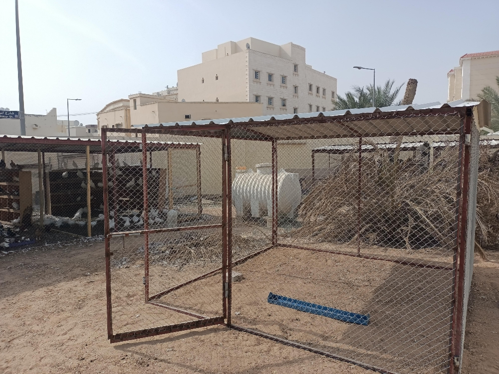 Pigeon and chicken coop - 4
