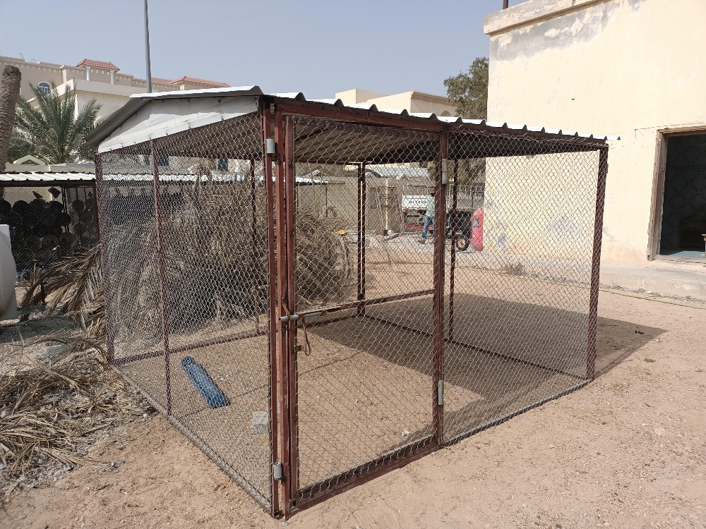 Pigeon and chicken coop - 7