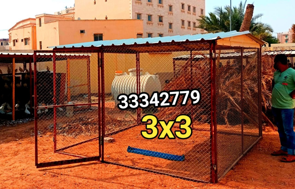Pigeon and chicken coop - 2