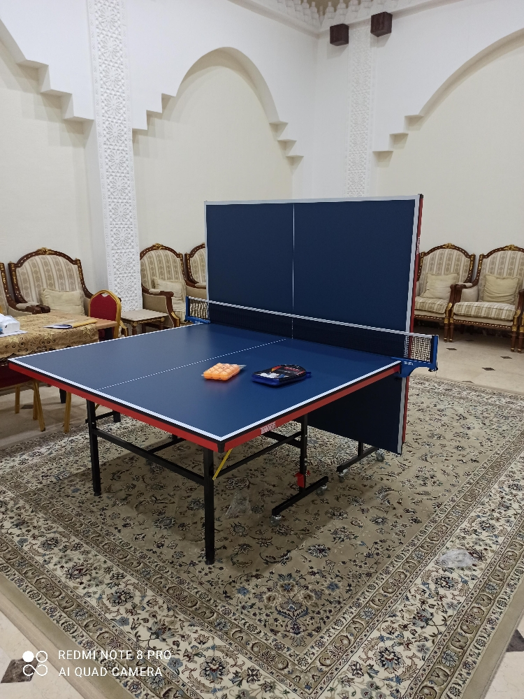تيبول تنس طاولة التنس - 2