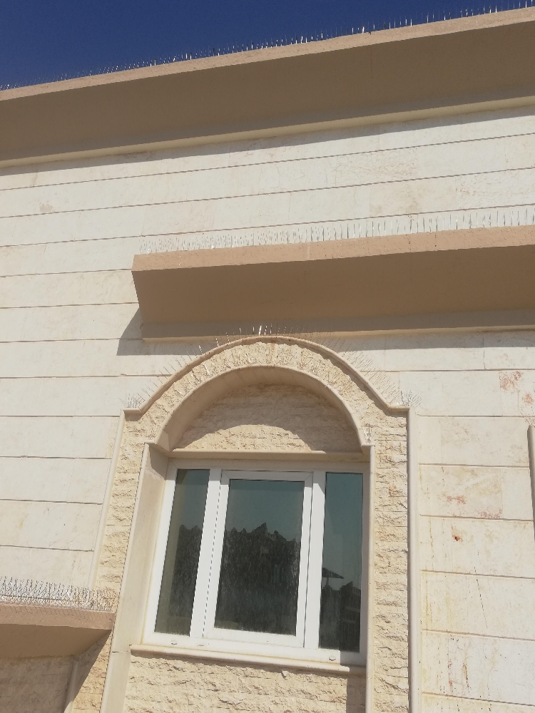 طارد الحمام والطيور 55174959 - 5