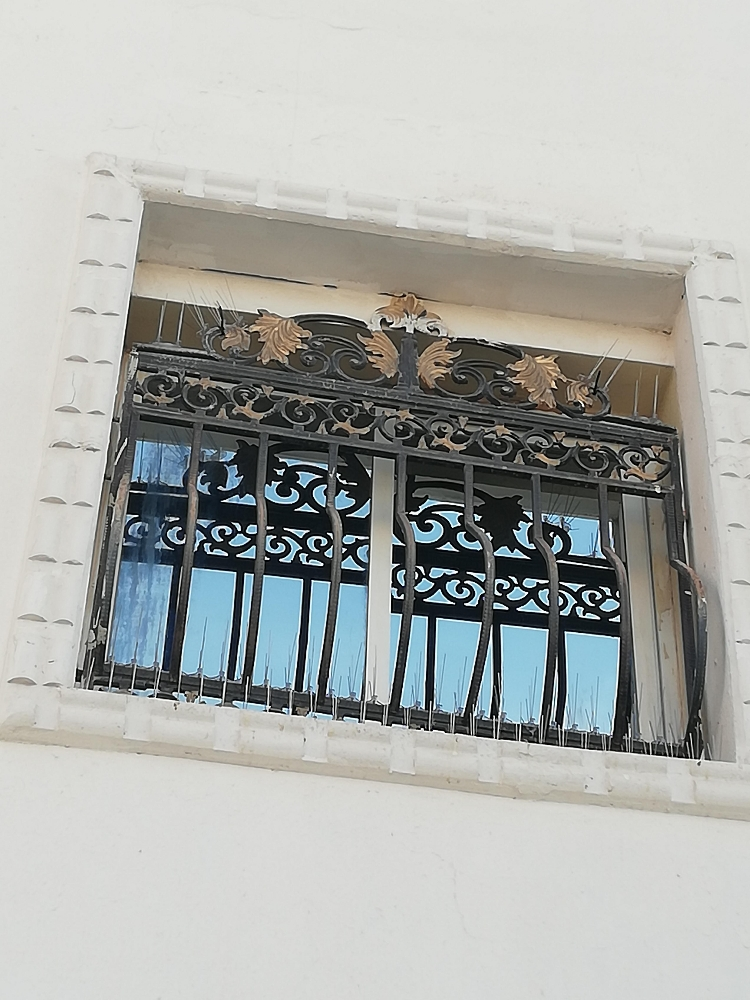 طارد الحمام والطيور 55174959 - 11