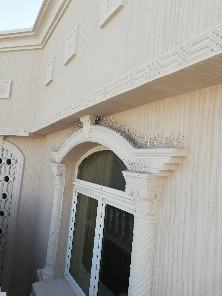 طارد الحمام والطيور 55174959 - 7