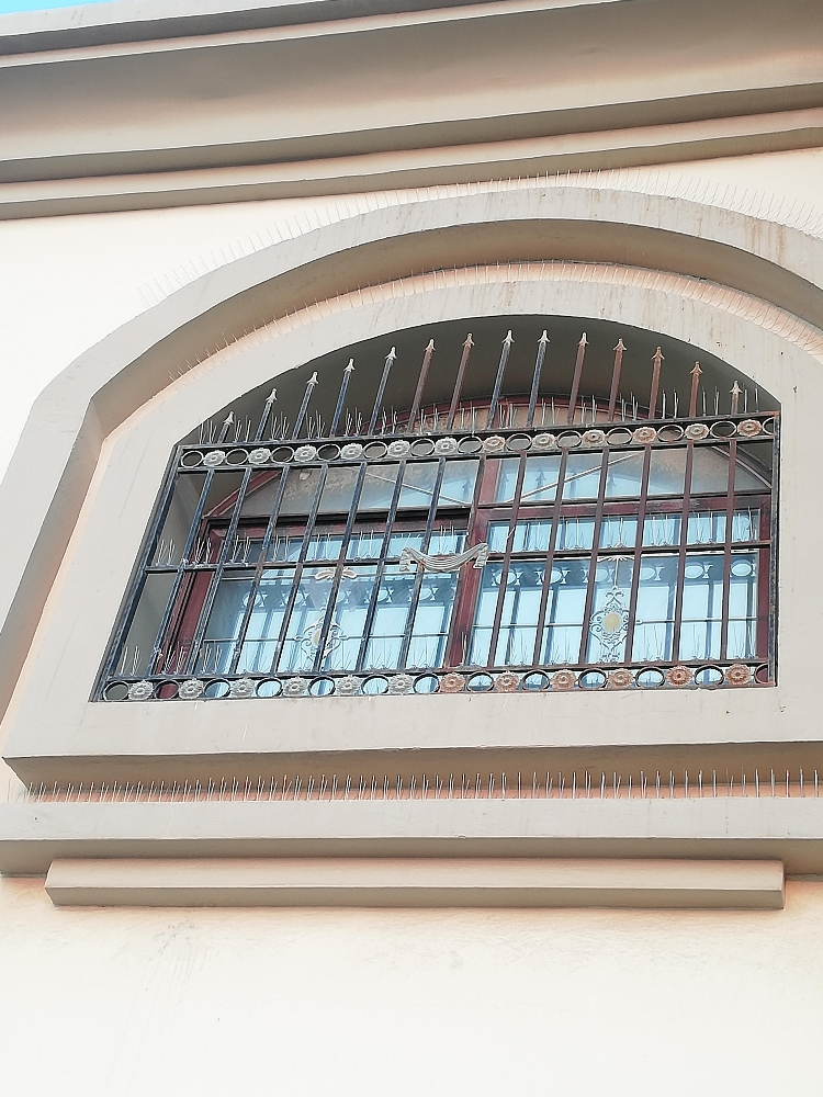 طارد الحمام والطيور 55174959 - 13