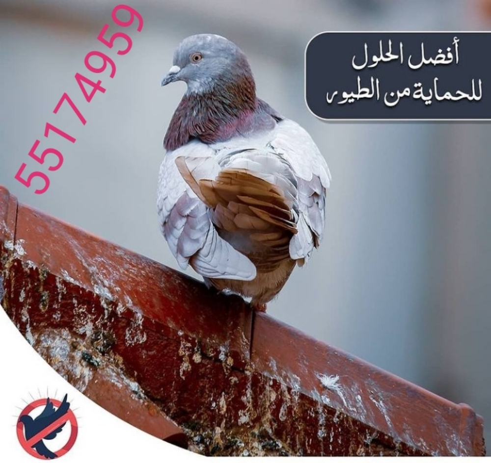 طارد الحمام والطيور 55174959 - 2
