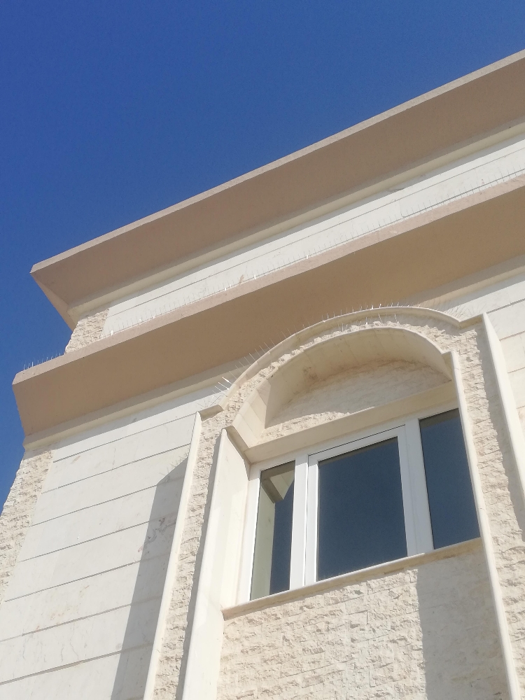 طارد الحمام والطيور 55174959 - 3