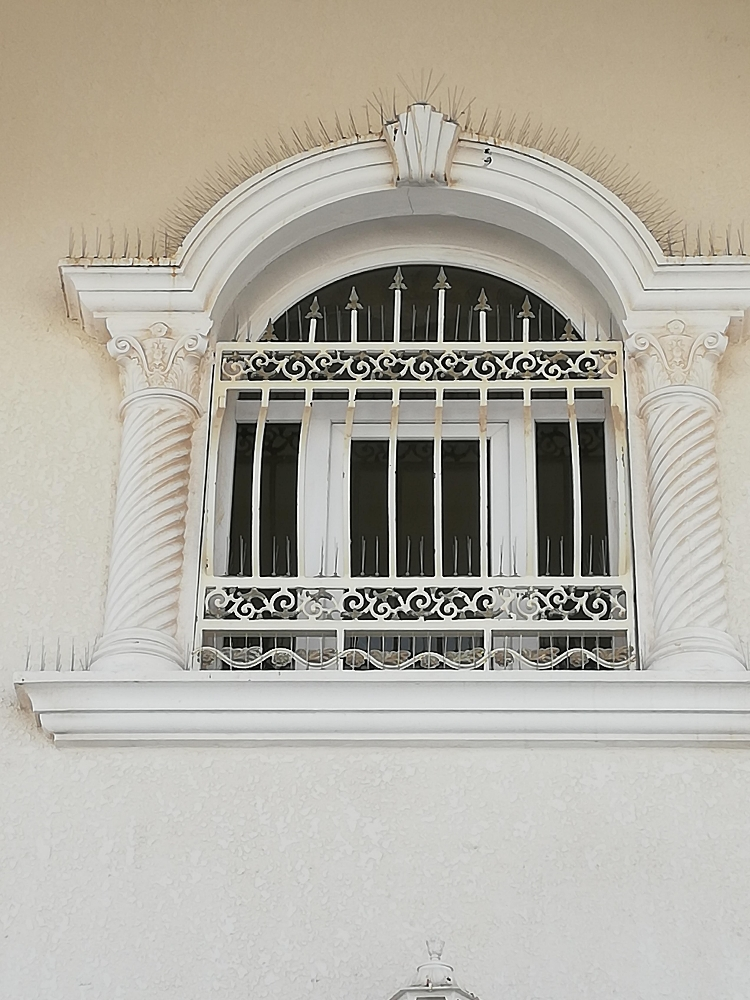 طارد الحمام والطيور 55174959 - 12