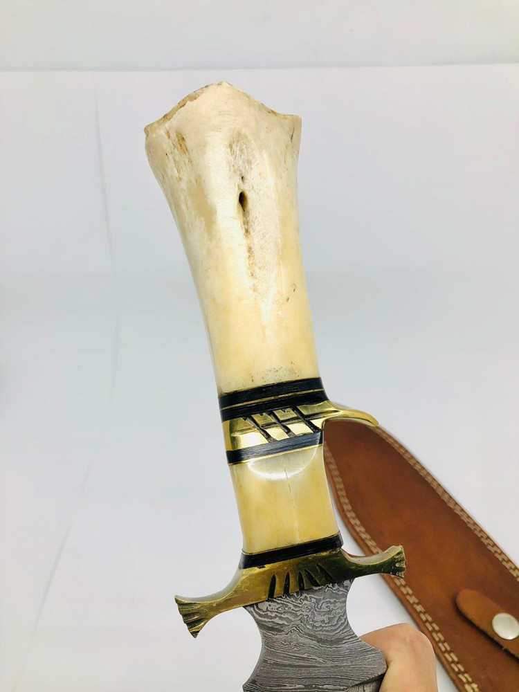 عظم جمل - 1