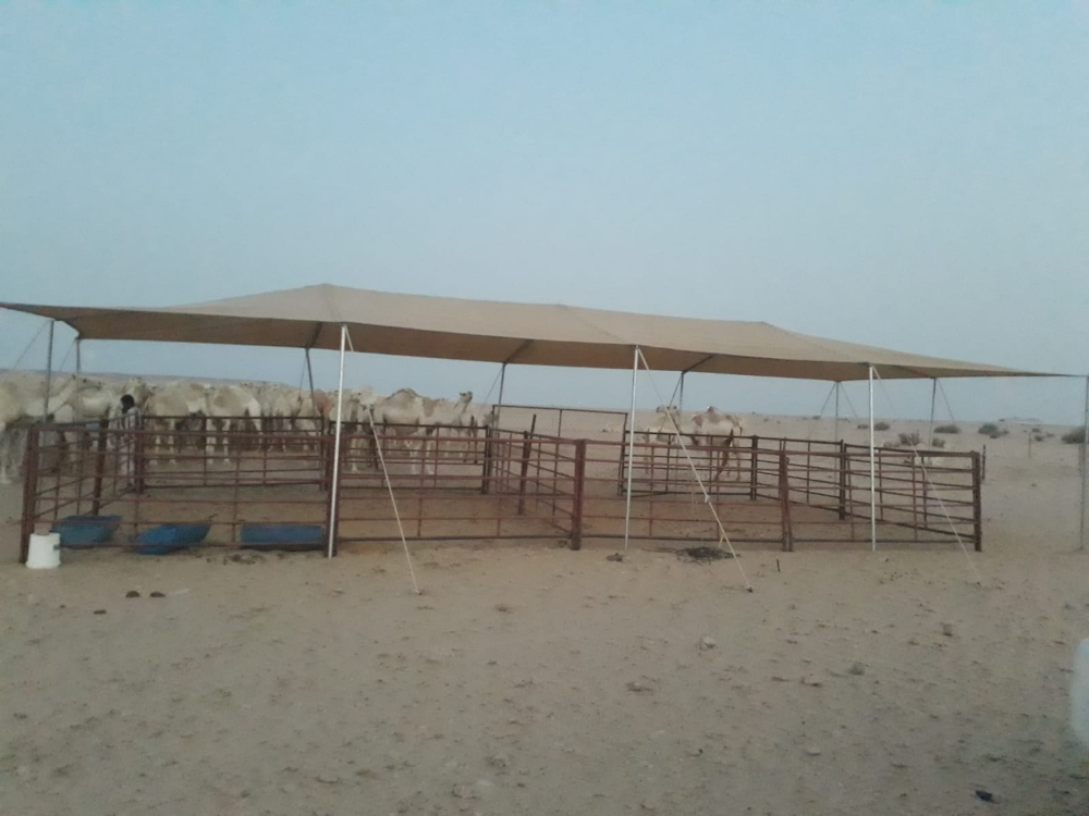 ‎‎‎‎‎مظلات تور - 6