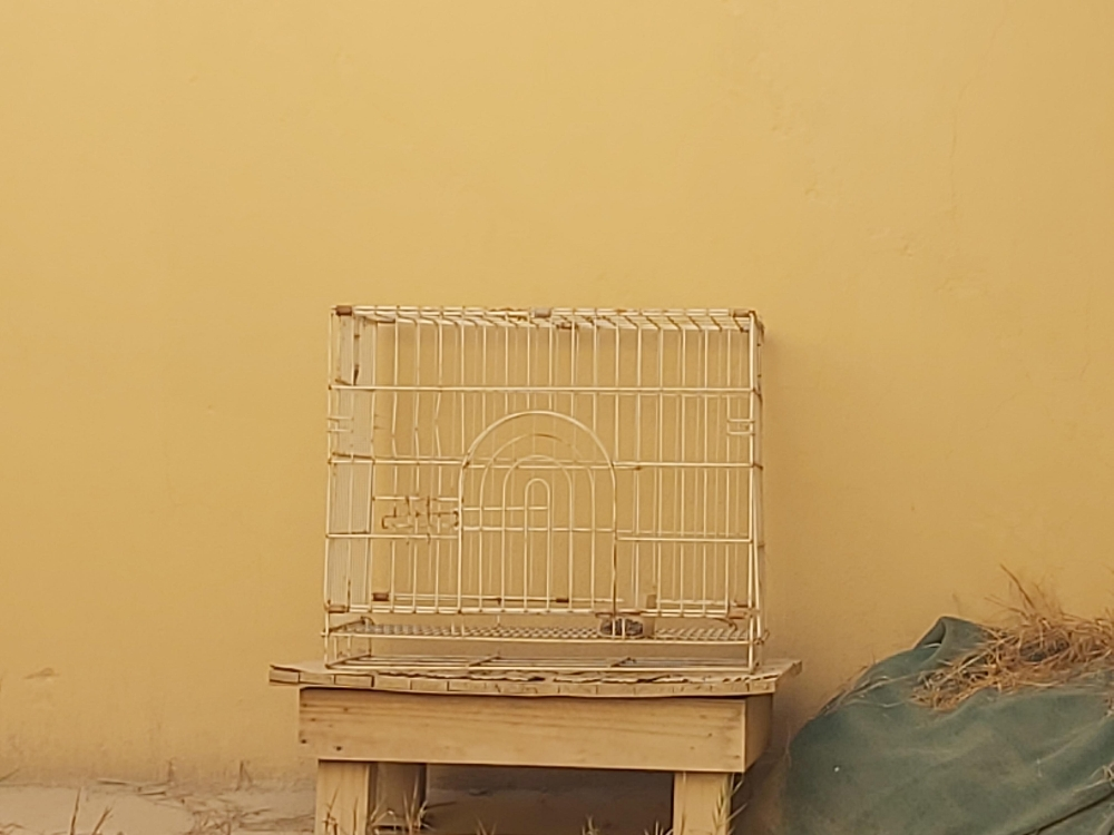 قفص كبير مستعمل قليل  - 2