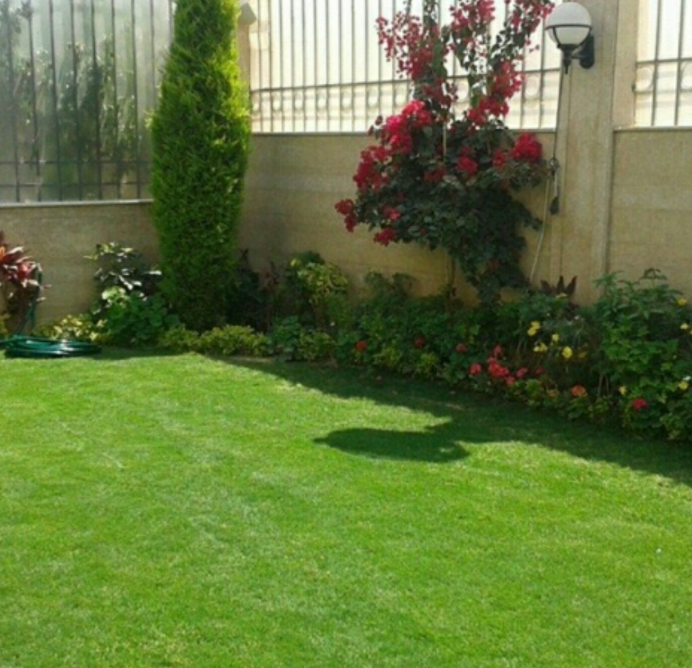 الجزيره لزراعه والديكور - 6