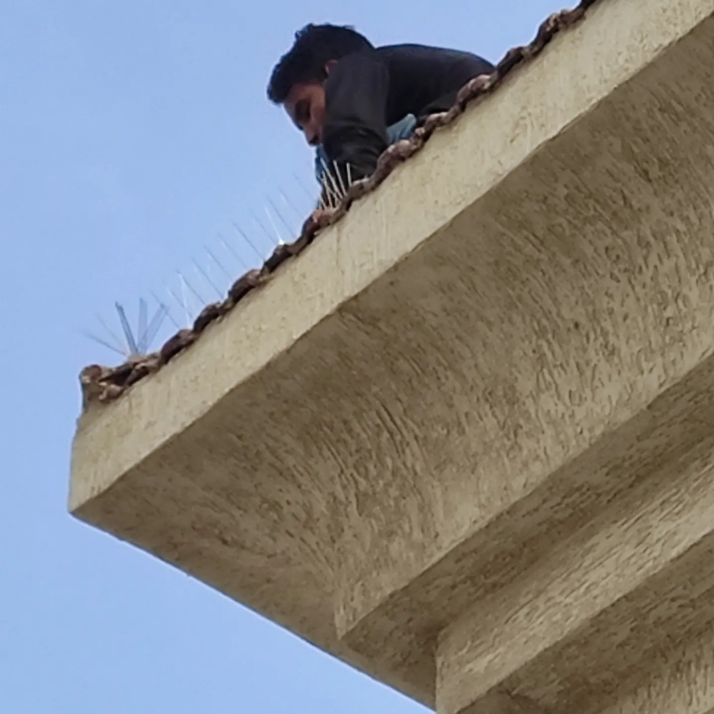 0bird repellent - 9