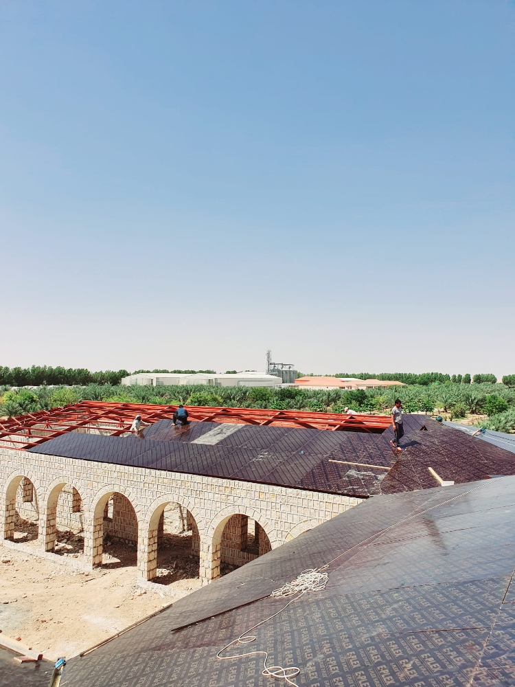 مقالات عامة - 4