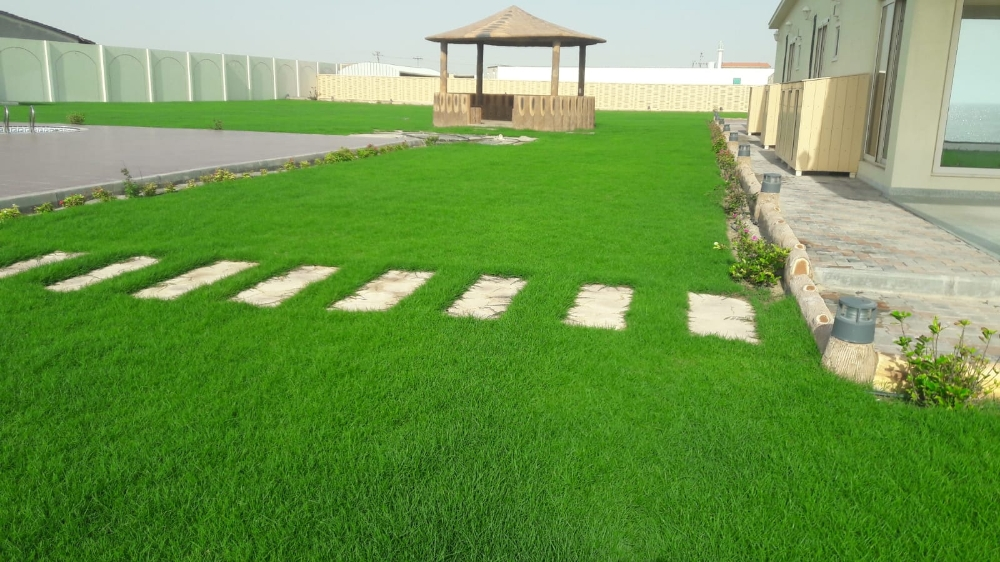 عنايه وترتيب - 10
