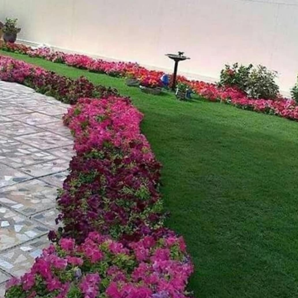 منسق ورود - 1