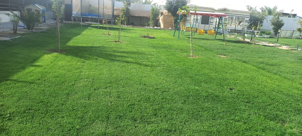 زراع وديكور - 1