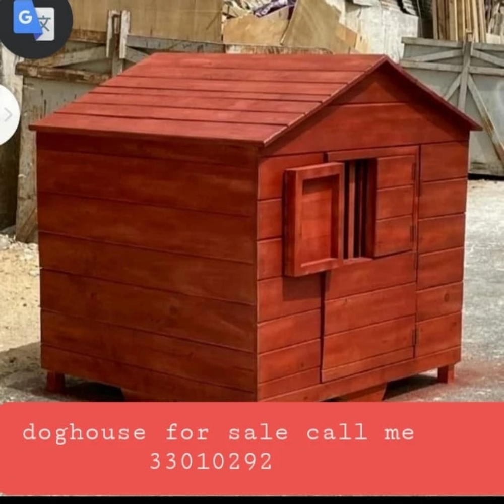 dog house - 3