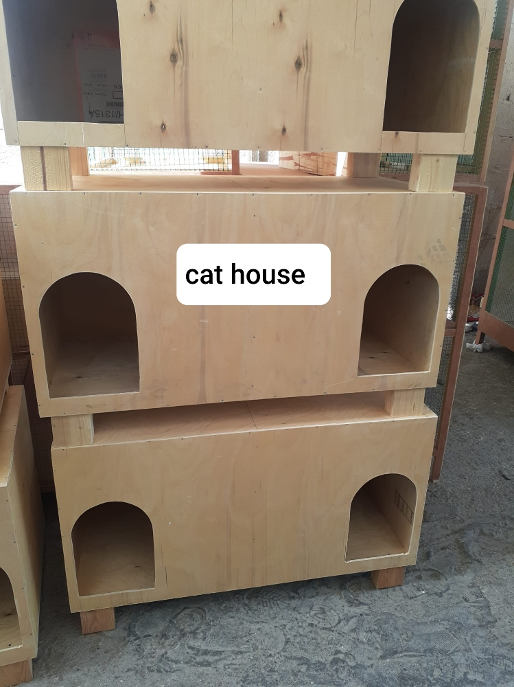 cat house - 2