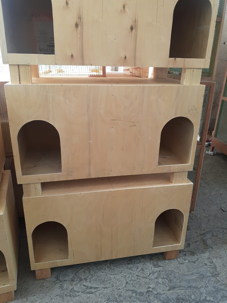 cat house - 3