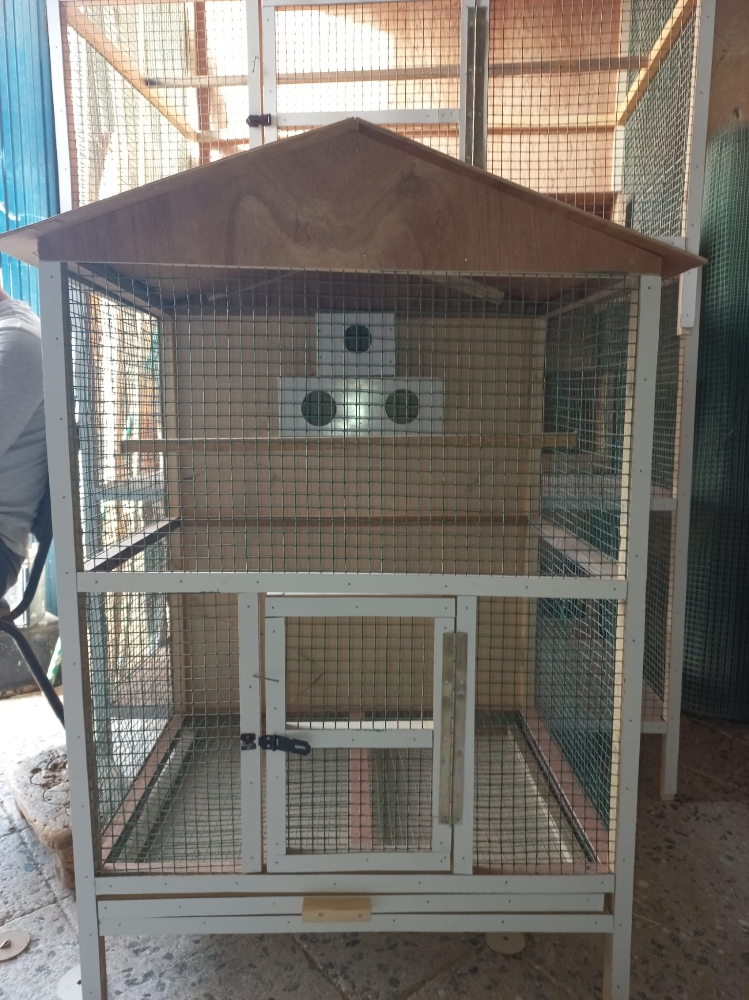 asfor - 6