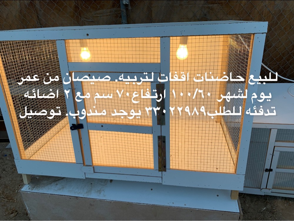 for saleChick incubator - 1
