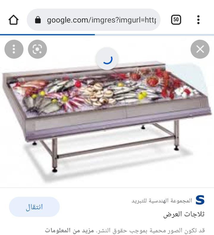للبيع دكة سان ستيل لعرض السمك - 7