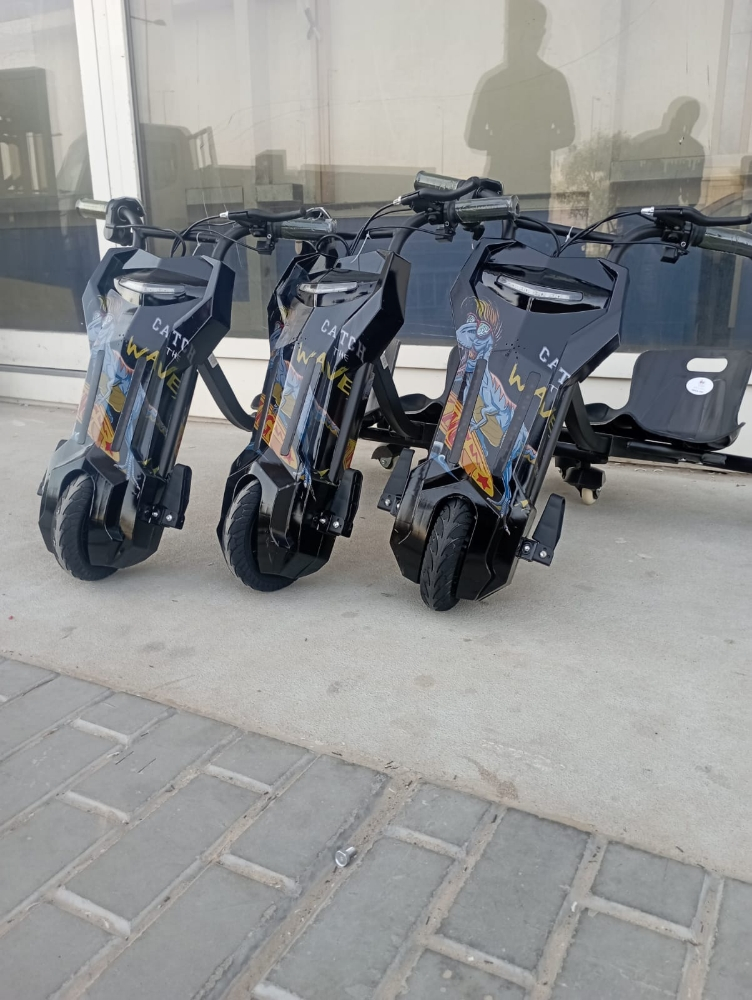 Electric Scooter 36 vlt - 1