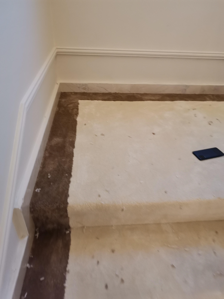 living room carpet design - 12