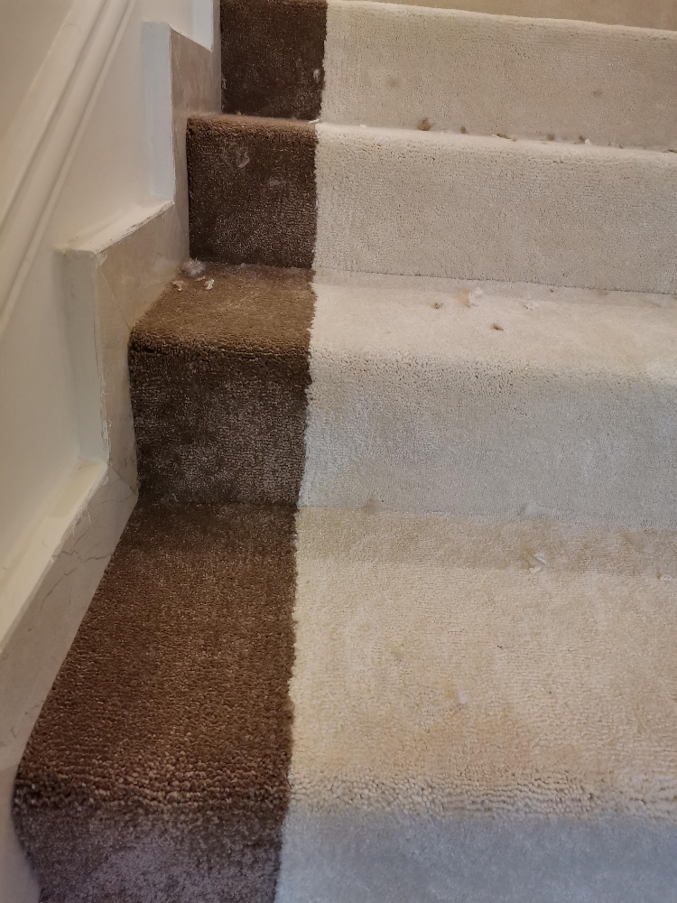 living room carpet design - 11