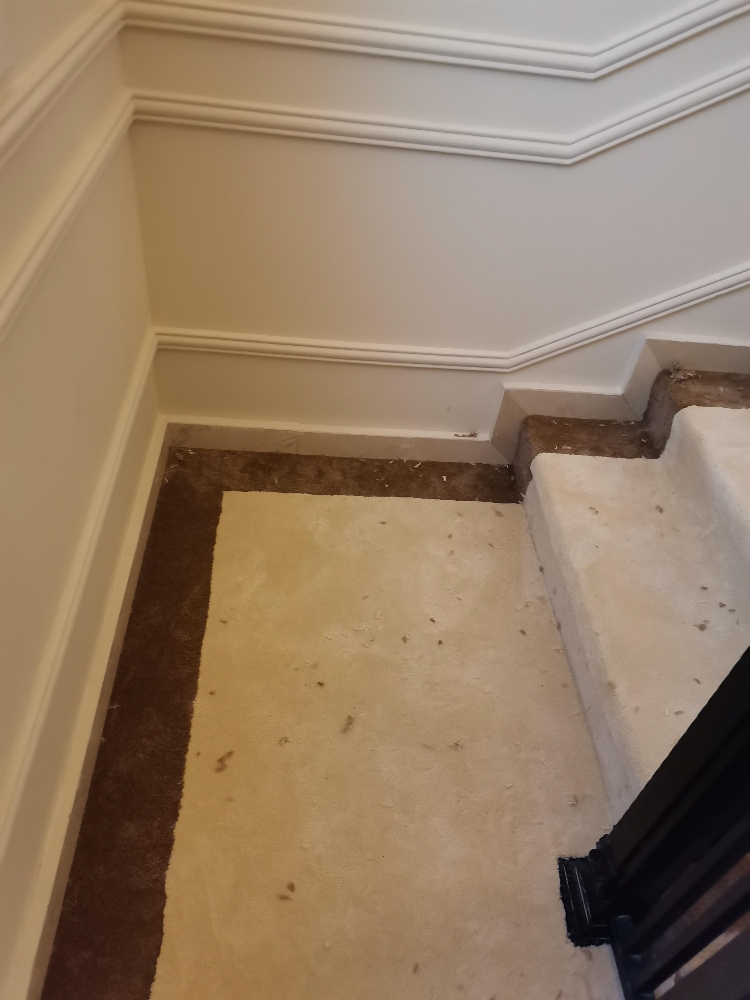 living room carpet design - 13