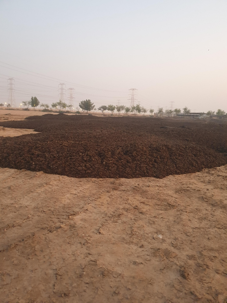 سماد ابقار معالج - 2