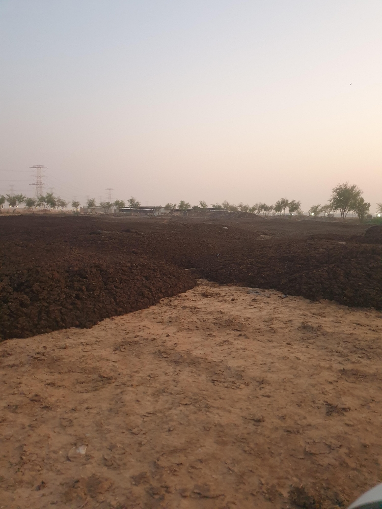 سماد ابقار معالج - 1